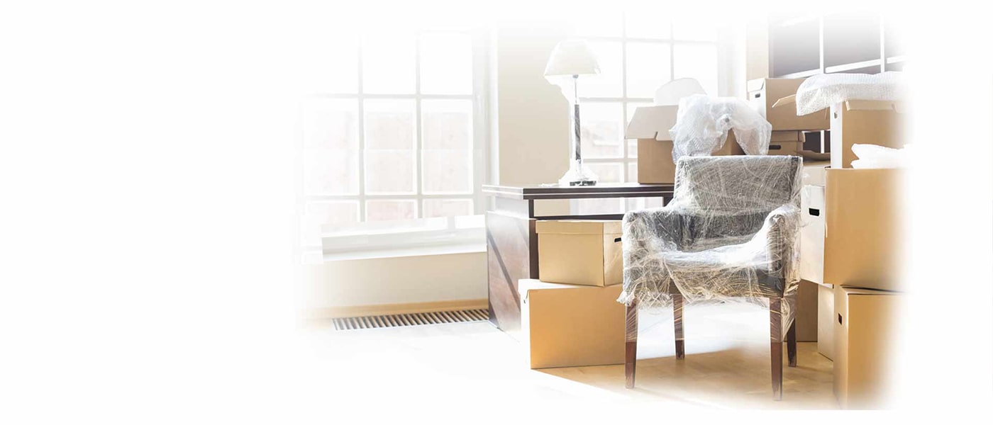 PROFESYONEL TAŞIMACILIK!